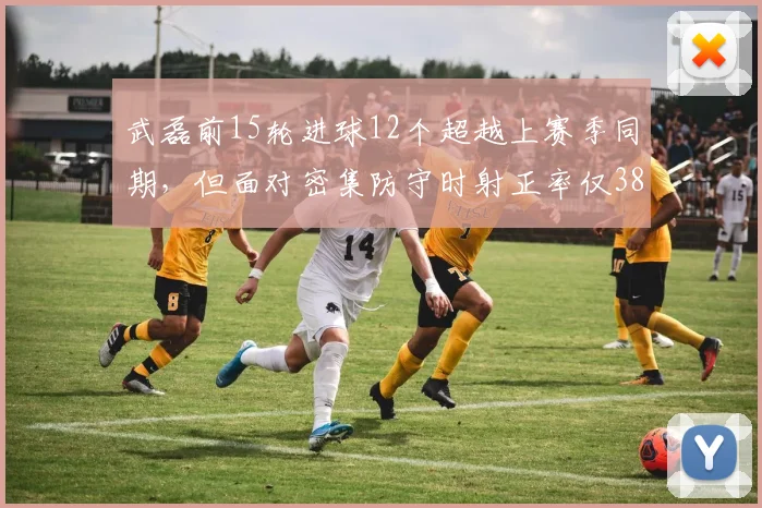 武磊前15轮进球12个超越上赛季同期，但面对密集防守时射正率仅38%成隐患